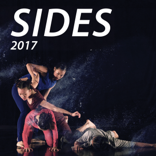 SIDES 2017