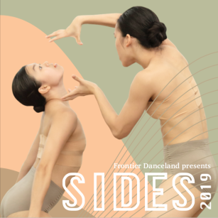 SIDES 2019